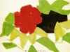 108_pfingstrosen_1977